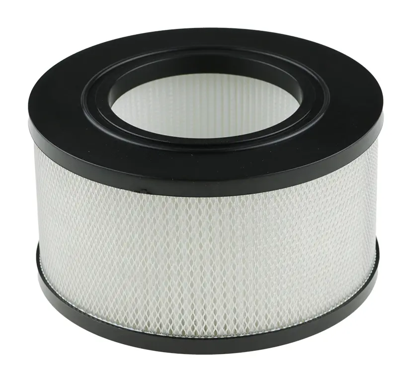 107413555 Nilfisk 107413555 (HEPA-filter H13, origineel)